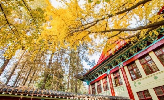 【解析】2024年南京师范大学教育博士备考解析、报考指导 - 知乎