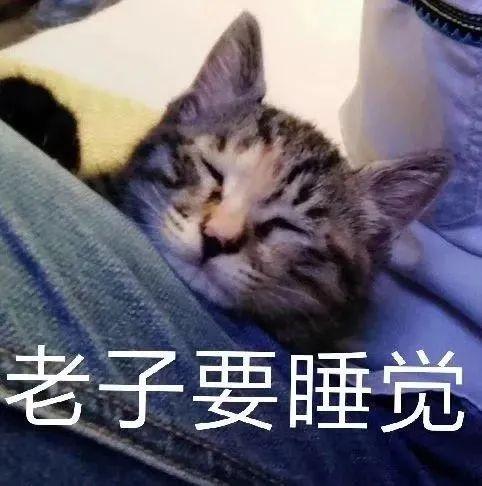 120张万能的表情包推荐-万能表情图片大全