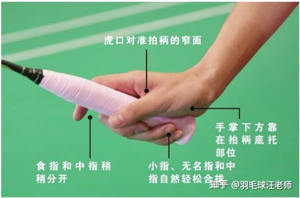 羽毛球基础篇2【挥拍】 - 知乎
