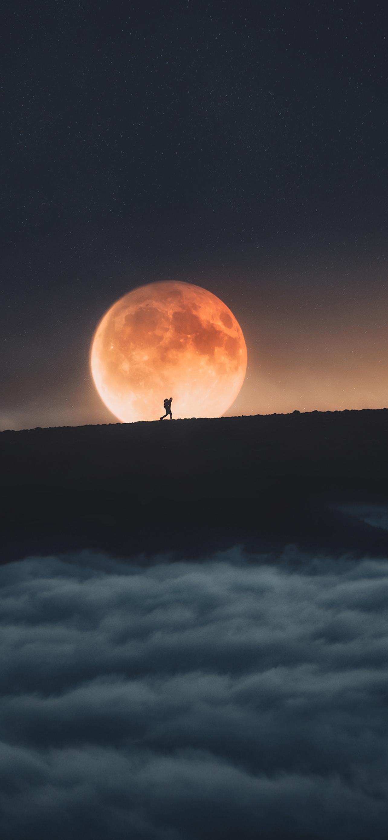 1284_2778竖版 竖屏