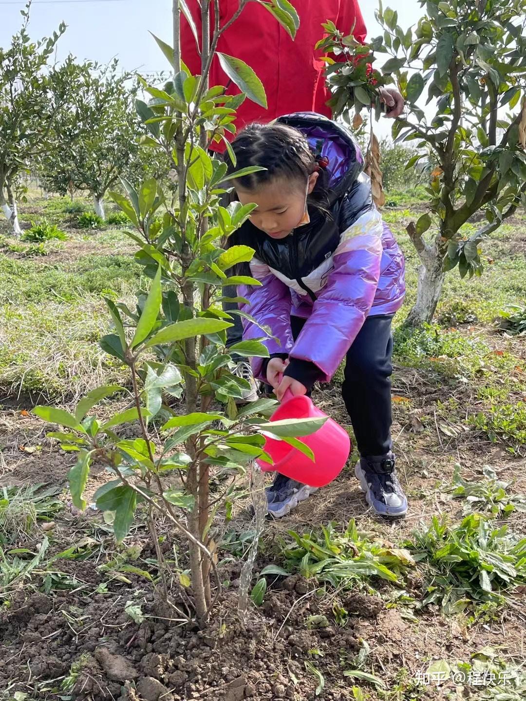 上海植樹團建活動流程方案長興島郊野公園二號門植樹場地