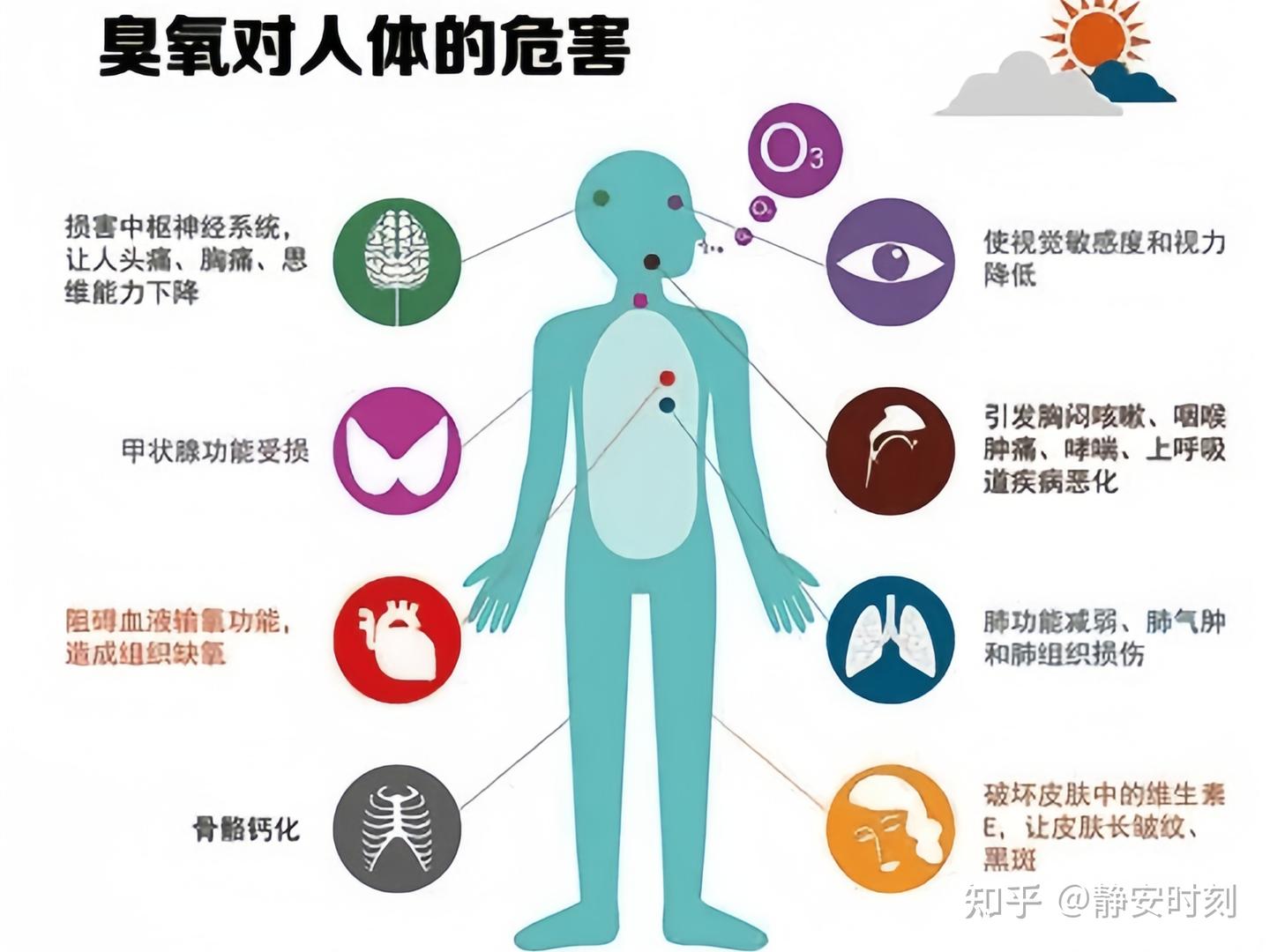 最后一道防线的漏洞:空气净化器臭氧累积效应与病理学真相