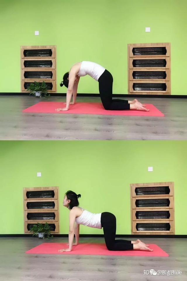 高大上的蜻蜓式倒立来秀一下自己吧