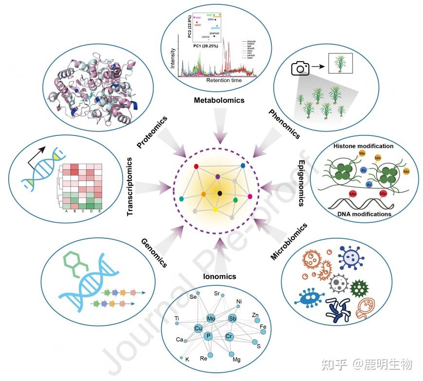 综述:植物代谢组学过去十年研究进展和未来展望 - 知乎