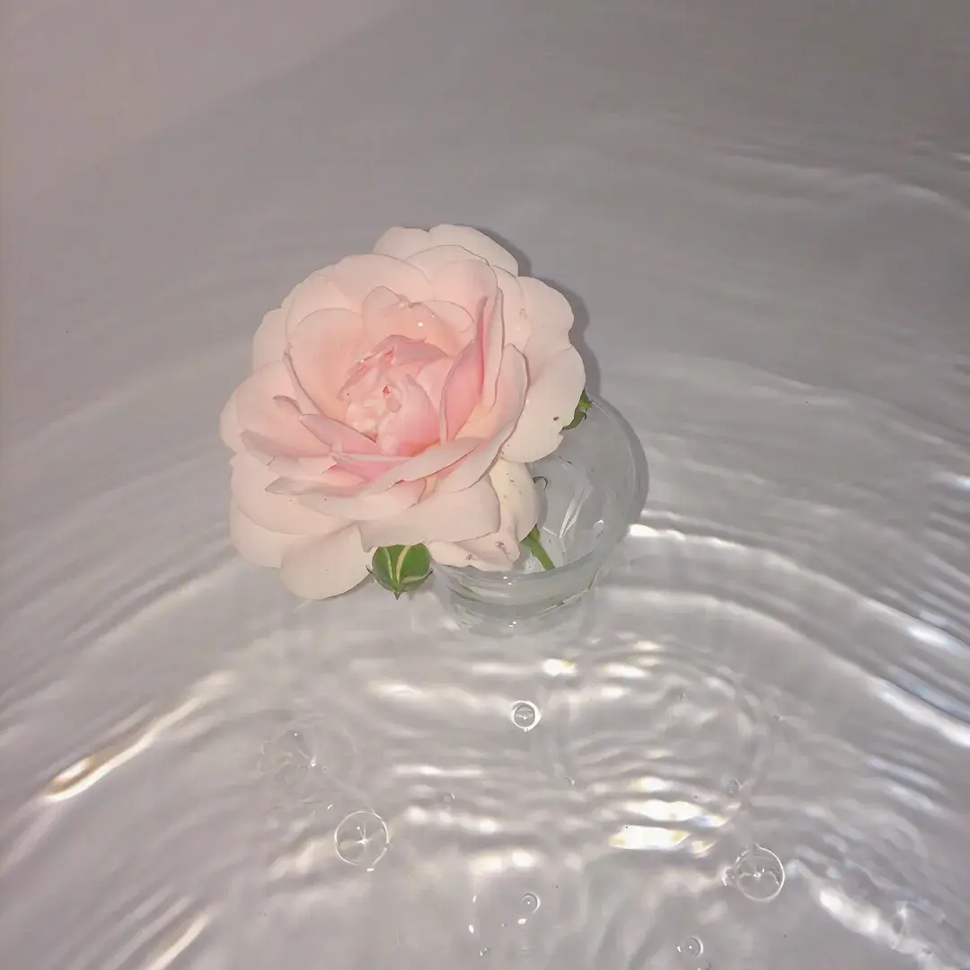 有哪些好看的qq主页背景图