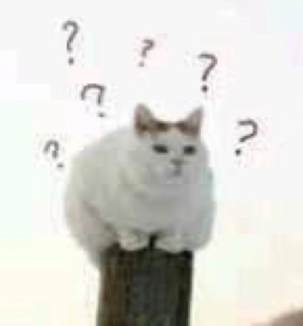 犯罪 學 出路 (99) 사진