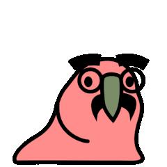 炫彩变色魔性摇头鹦鹉表情包