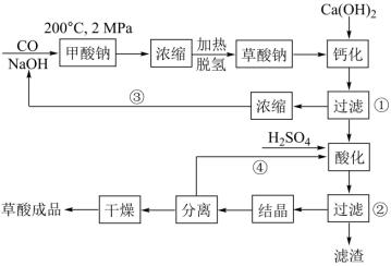 ネット限定】 準備中☆化学式CO2☆ 魚用品/水草 - www.cofipe.com.br