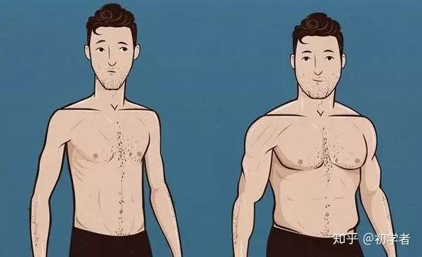 瘦子如何健康地长胖