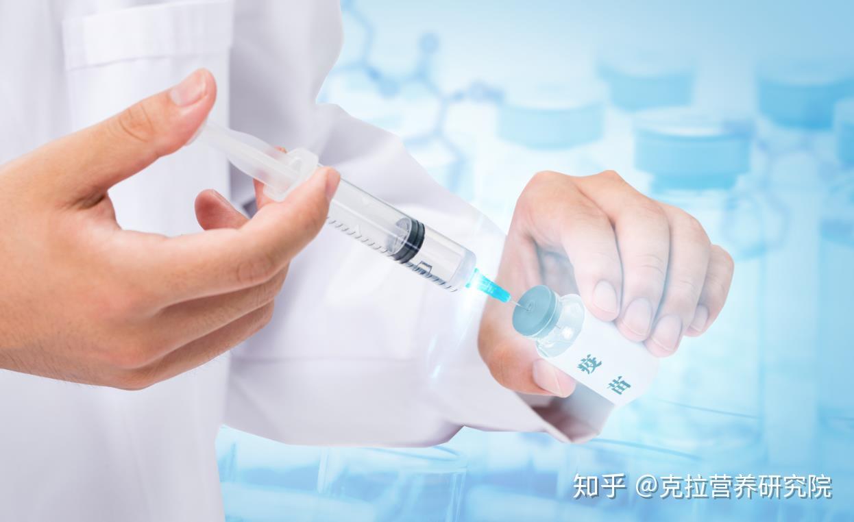 怎样减肥又能提高免疫力 v2-5b69ea4cea0236c2a93852aa63939a58_r.jpg