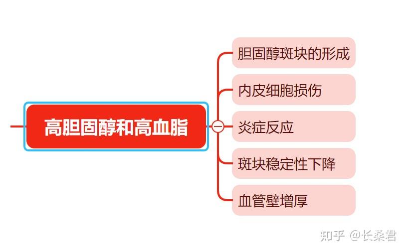 动脉硬化的形成过程 - 知乎