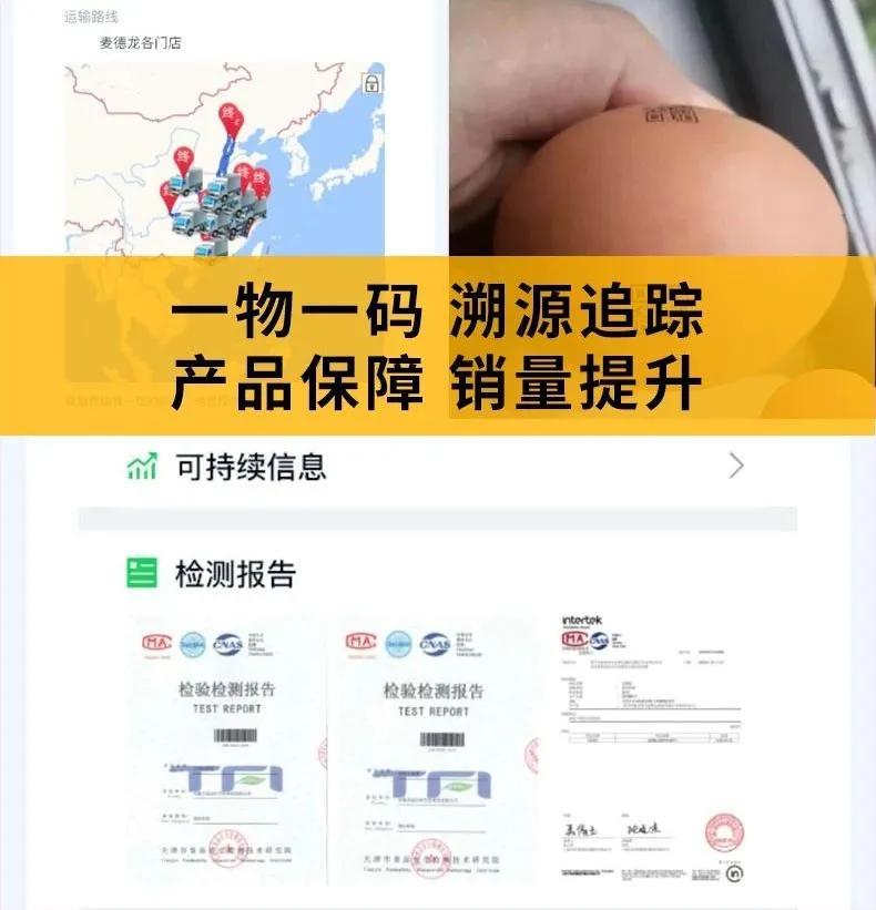 如何搭建鸡蛋防伪溯源体系
