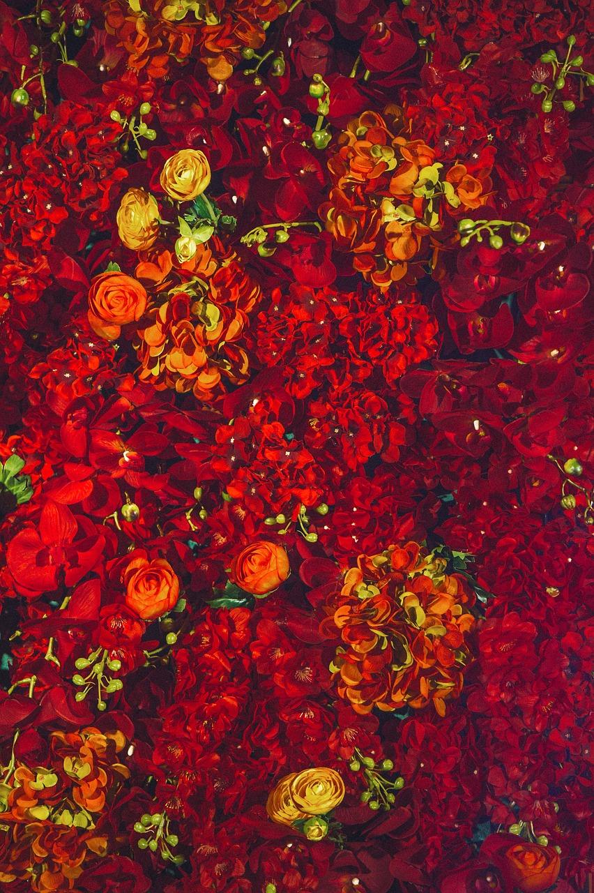 4. 窗纱窗帘改造