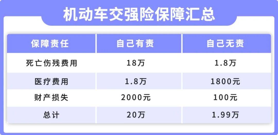 圖便宜只買交強險會怎樣