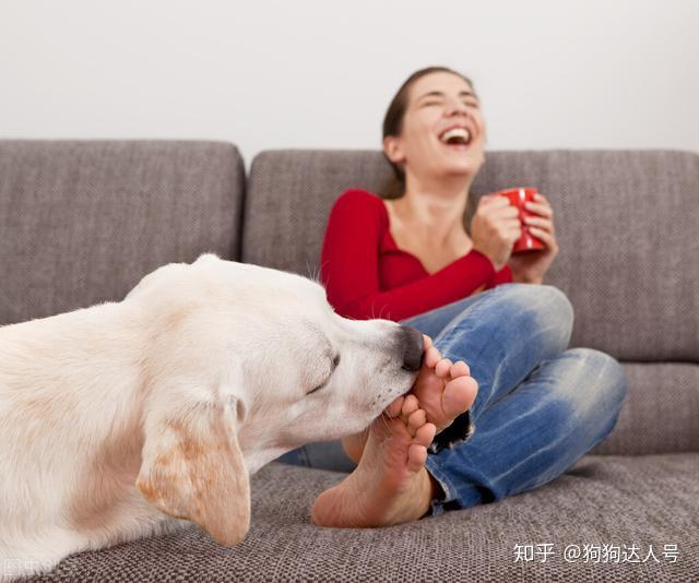v2-5b80b50e0fe10b4c34d446c9ef7eb27c_r.jpg