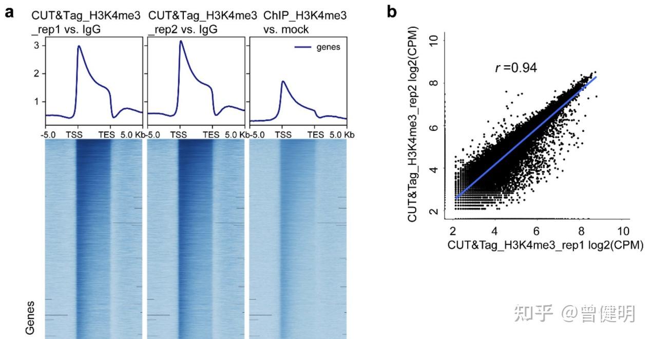 吊打ChIPseq的CUT&Tag技术 知乎