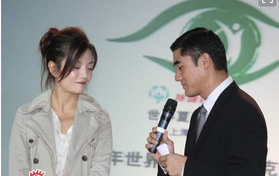 赵薇绯闻男友酷似李小龙内地当红主持人至今未婚