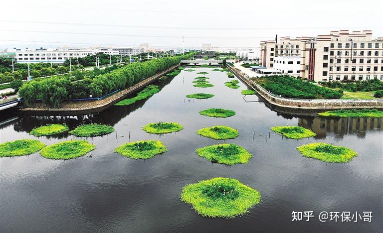 让河道生态系统回归到正常运行状态,需要从最基础的环境因子开始治理