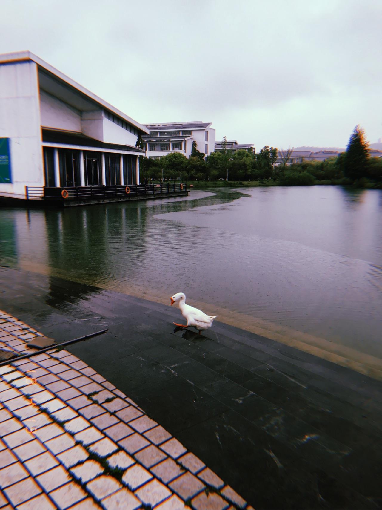 苏州工艺美术学院到底值不值得上就业情况在苏州怎样