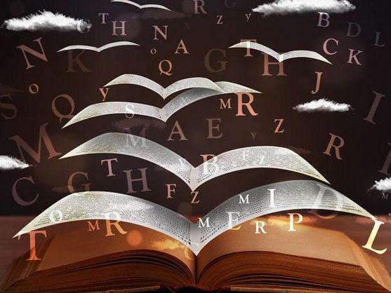 Zhihu essay 02 picture