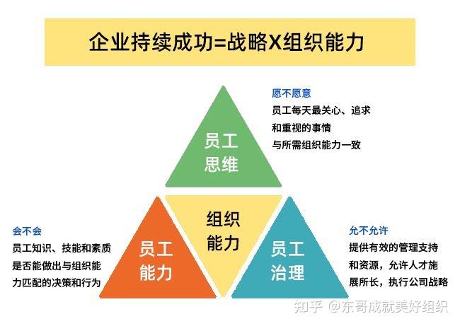 组织能力的杨三角新解