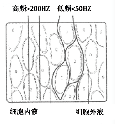 v2-5b92b50e3b186b1e728c0f7213ff2e08_b.png