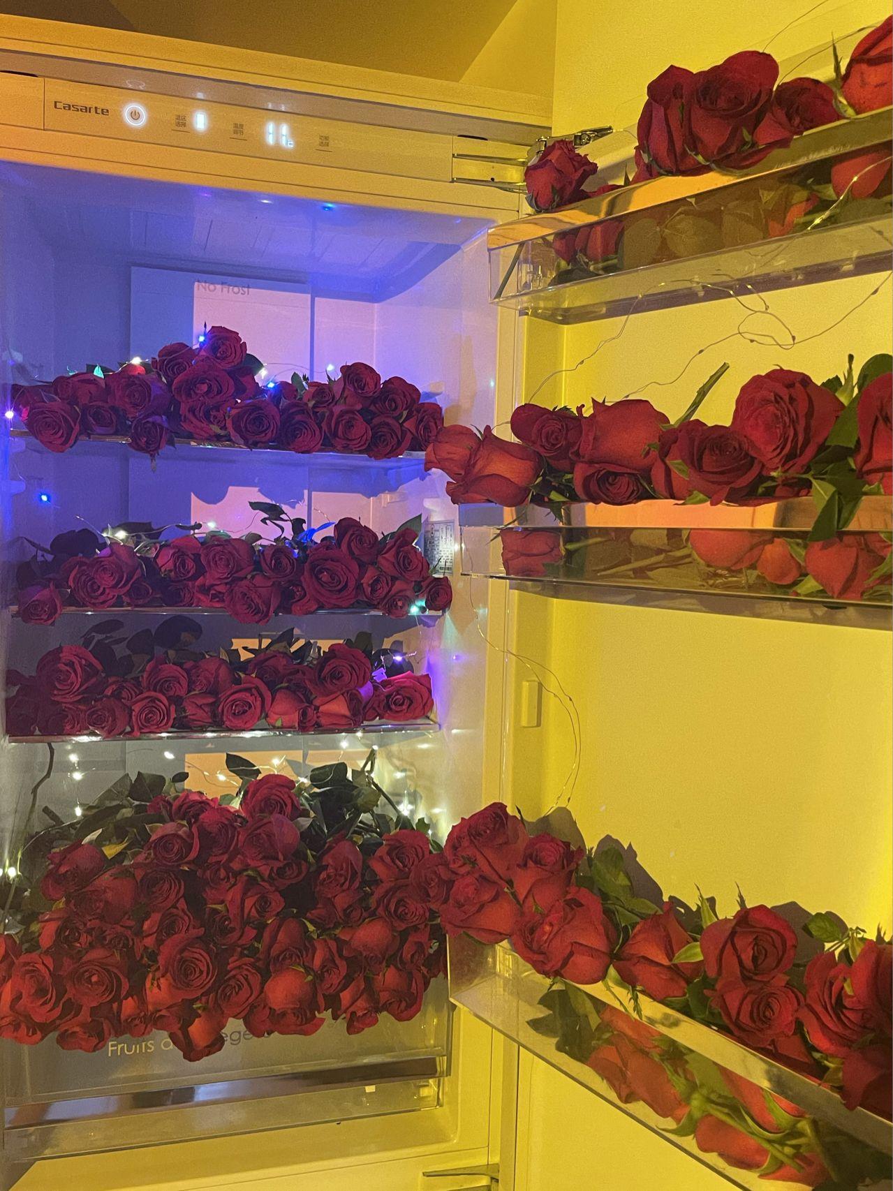 有没有冰箱里全是花的壁纸