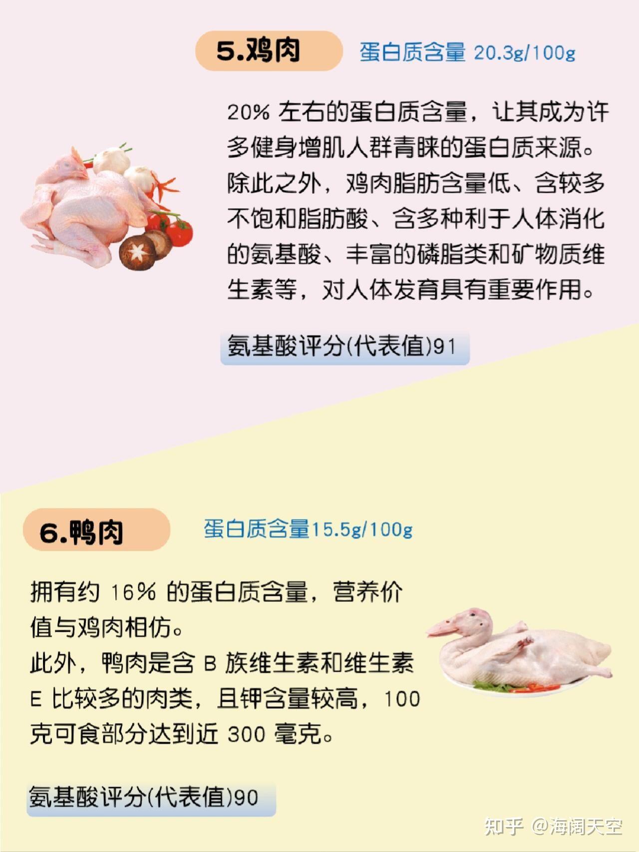 你必须要知道的补充蛋白质的食物