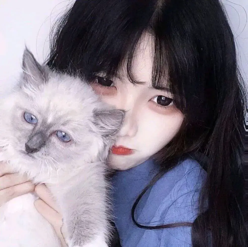 有没有女孩猫咪的头像