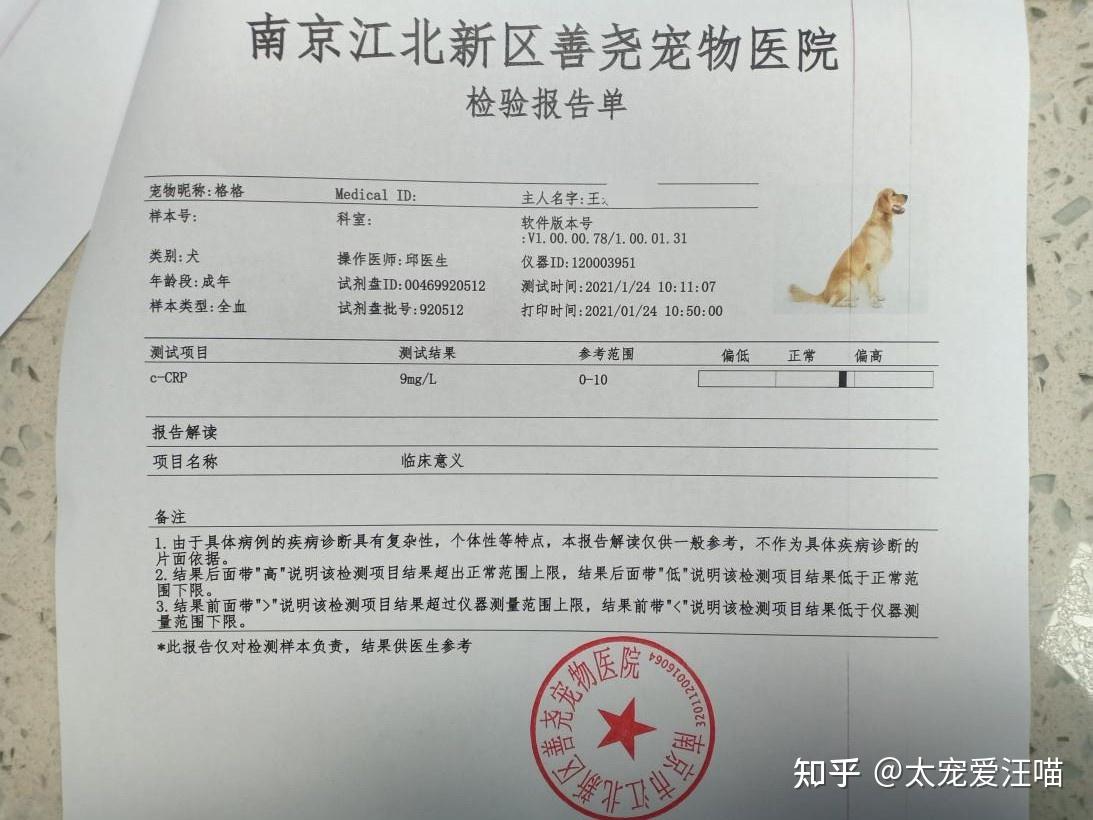 胰腺炎丨太宠爱理赔案例南京善尧宠物医院