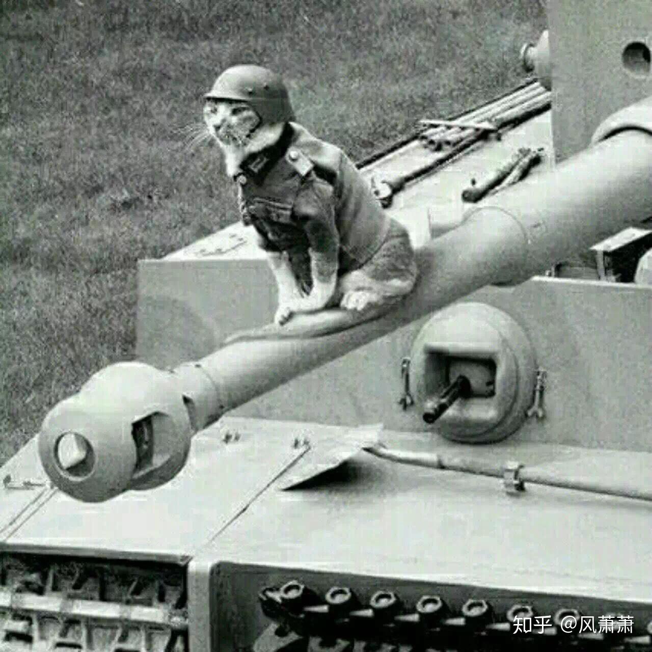 有什么关于二战的搞笑表情包? - 知乎