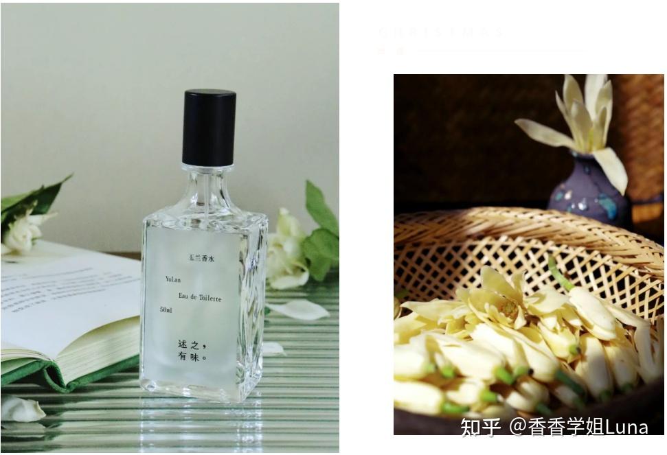 茉莉 栀子 白兰|「夏日三白」的幽幽白花香水 - 知乎