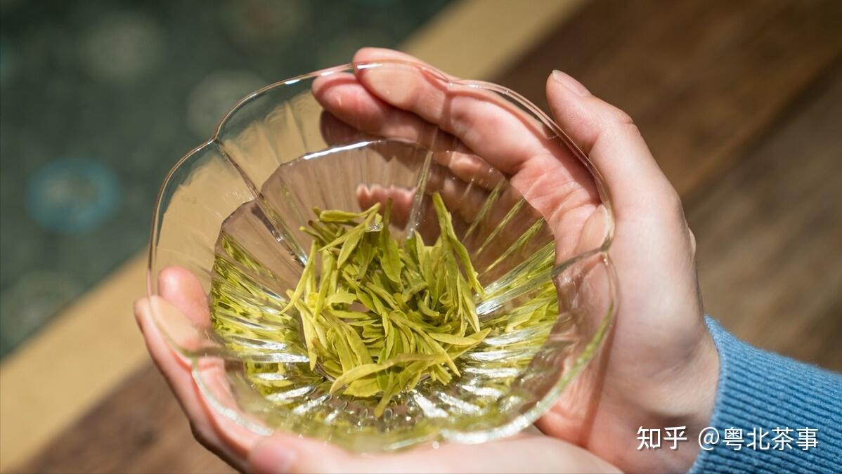 初级茶艺师报名需要什么资料_初级茶艺师证报名_初级证报名茶艺师怎么报名