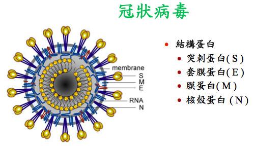 v2-5ba403cdace1c2901659f3f1c92ebd96_1200x500.jpg