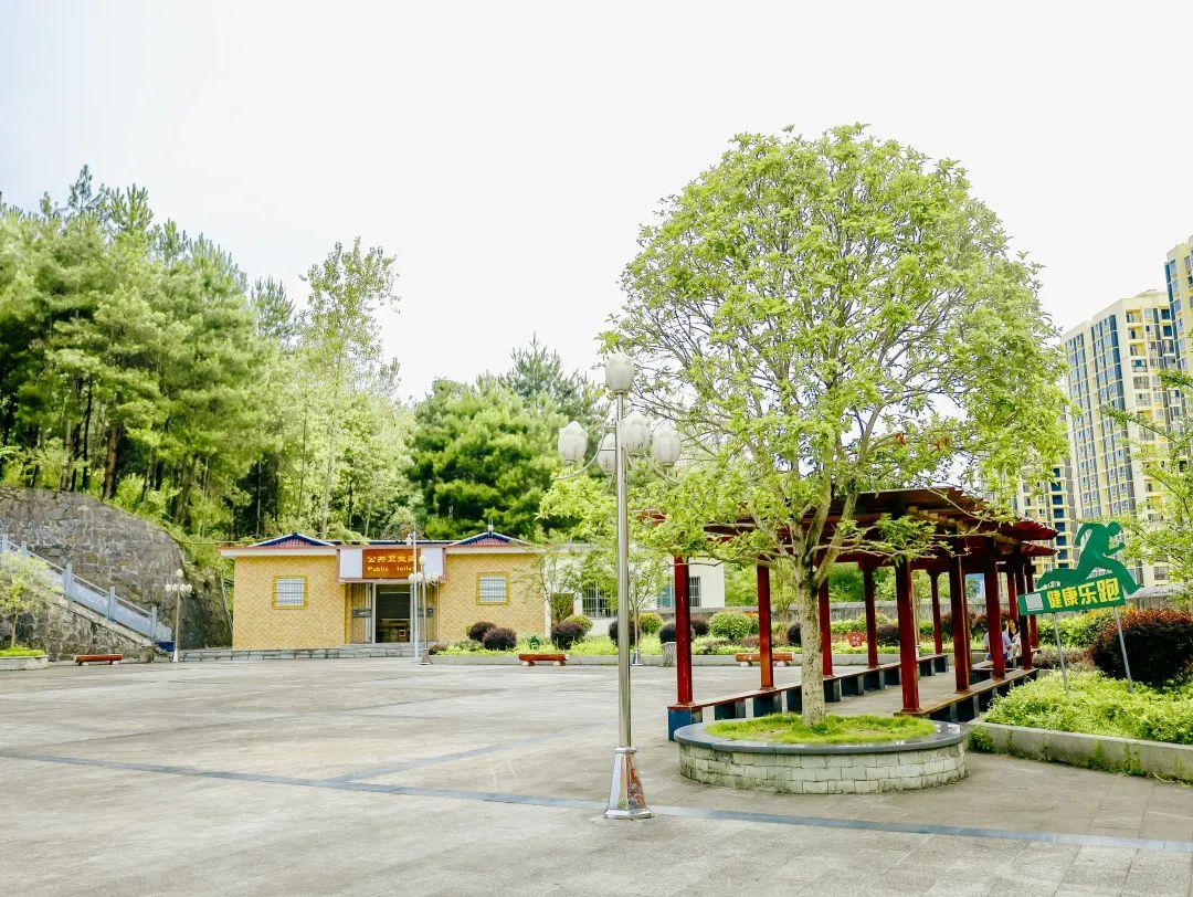 桃花山公园一直是附近人的偷闲首选地,远离外界的喧嚣,清新的空气