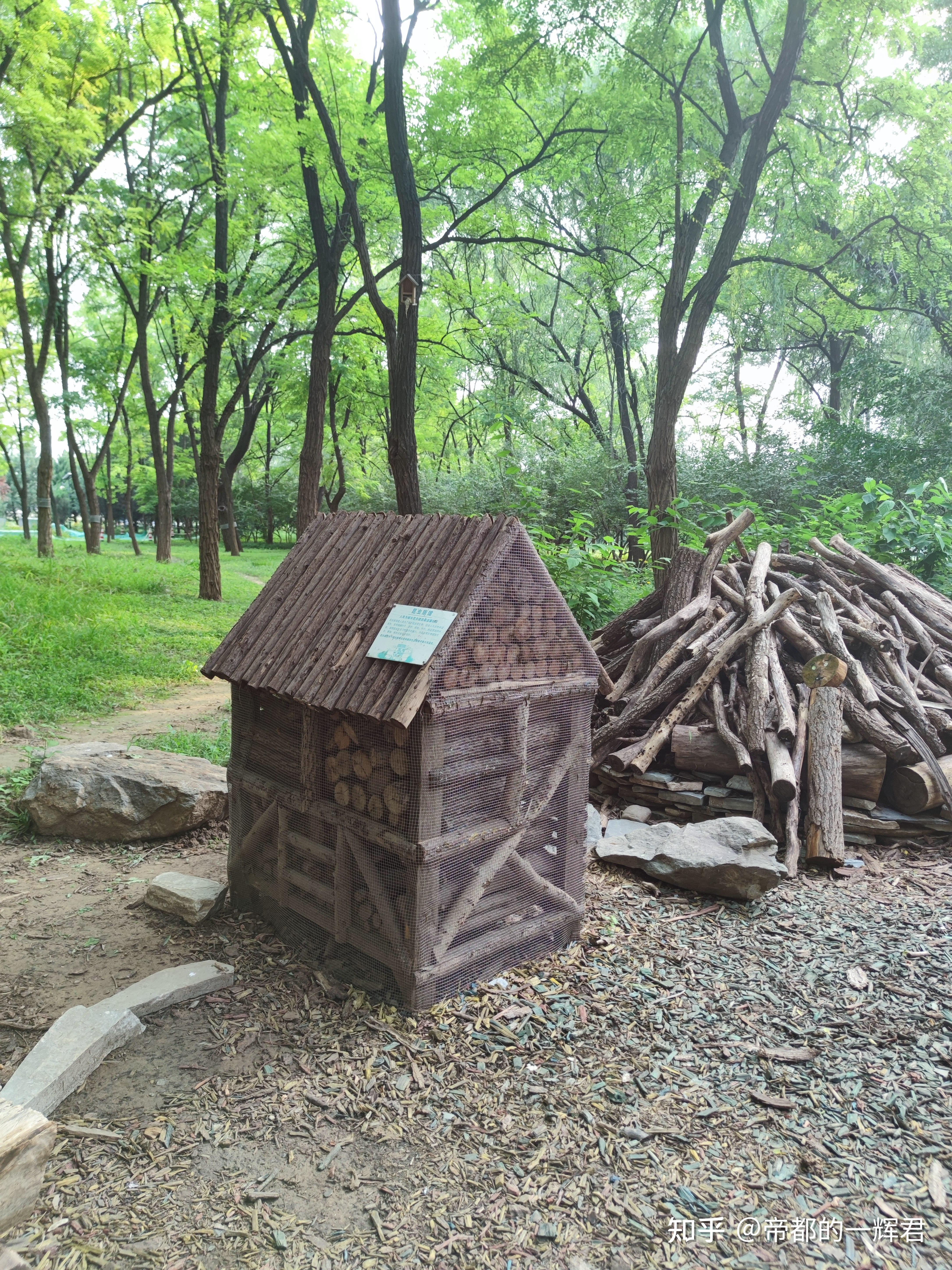  本┥肪匙纯龀中蚝 ,如何做到的?