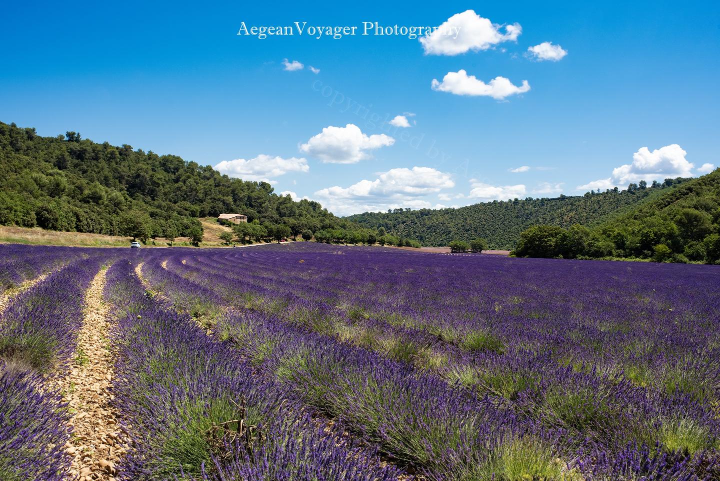 当沉没成本多高时，你才知道是时候该改变或放弃了？ - 知乎