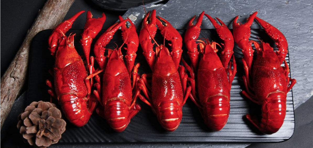 龙虾吃哪里才正确 v2-5bc7cf074db4d42f2b7608ca5ab6ef17_1440w.jpg?source=172ae18b