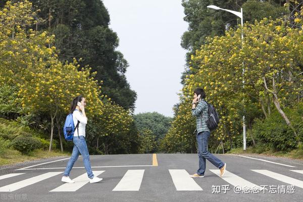 情感的抉择