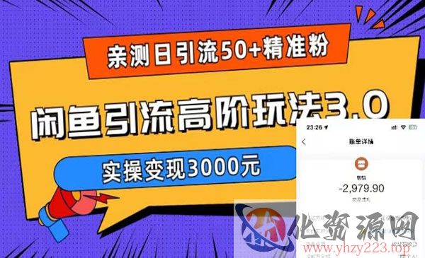 《闲鱼引流高阶玩法3.0》实测日引50+精准粉，实操变现3000元_wwz