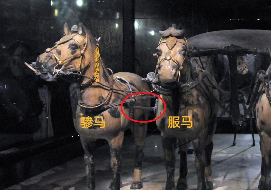 为何四马拉车能并驾齐驱而不会各奔东西?秘密就在这件国宝中 - 知乎