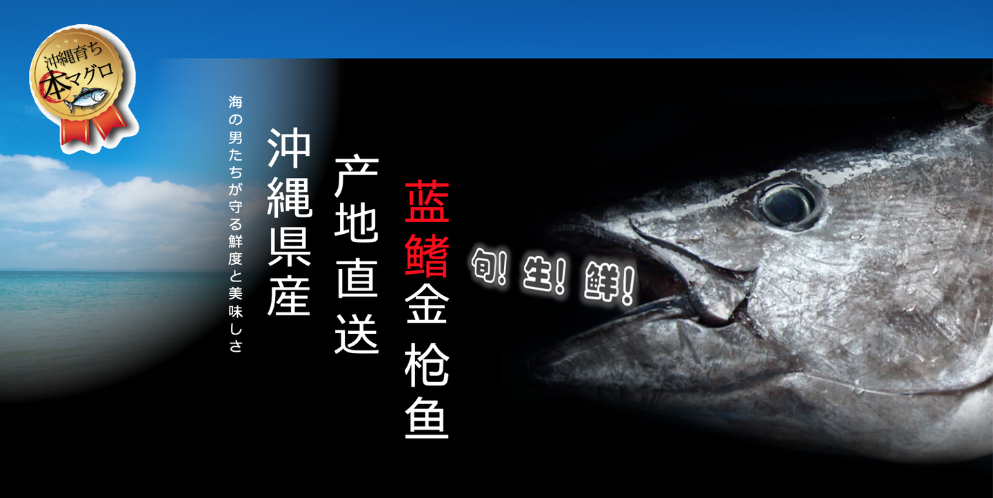 享有 鱼中劳斯莱斯 大名的近大蓝鳍金枪鱼 知乎 享有 鱼中劳斯莱斯 大名的近大蓝鳍金枪鱼 知乎