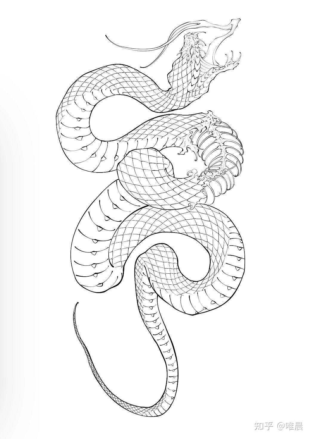 蛇年将至如何用你的兴趣专业技能画一条蛇