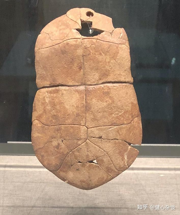 博物馆游记·12 河南博物院(一):新石器时期与夏商时期 - 知乎