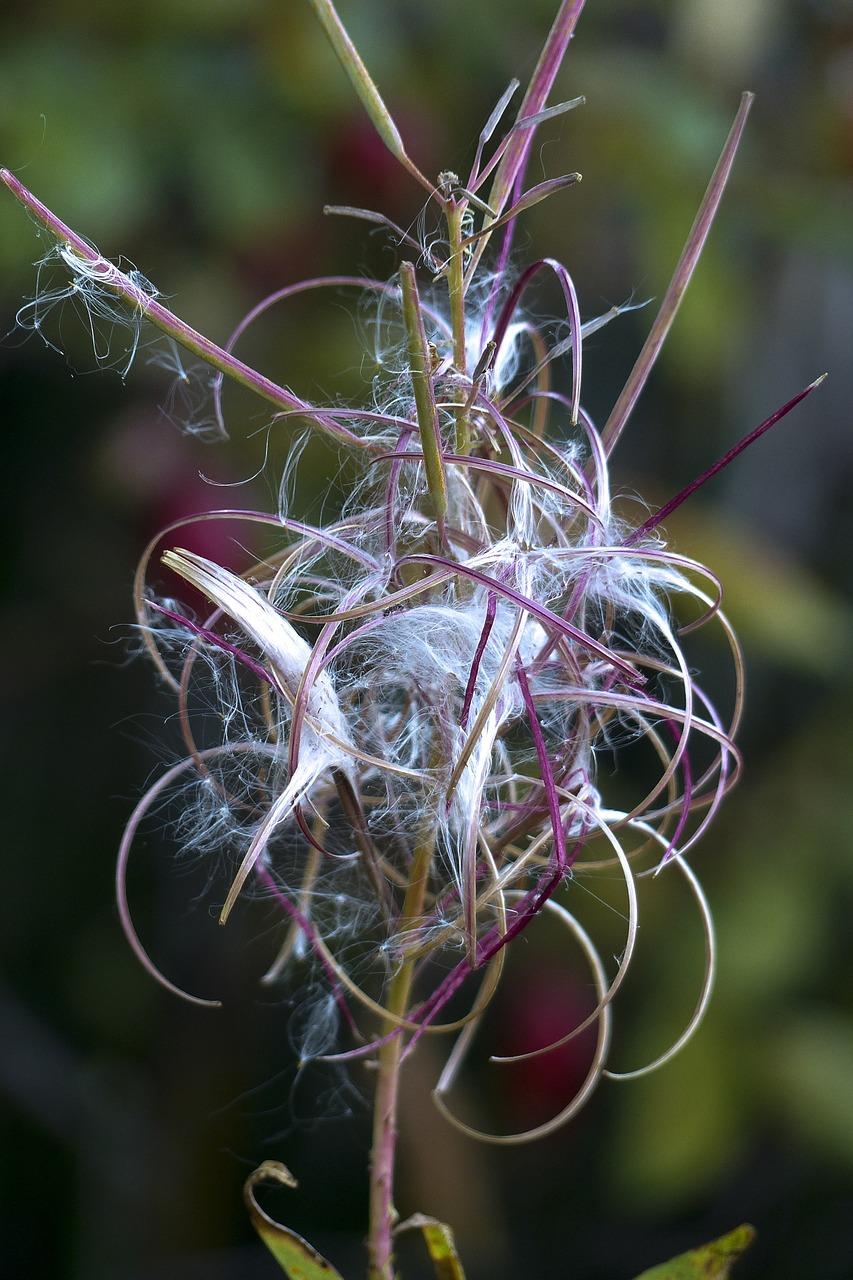 2. 竹材防虫技巧