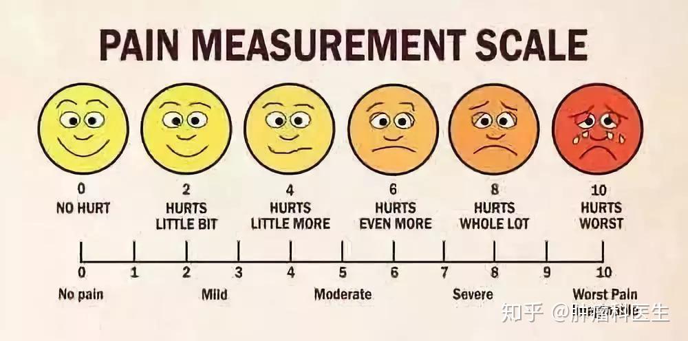 behavioral-pain-scale-download-scientific-diagram