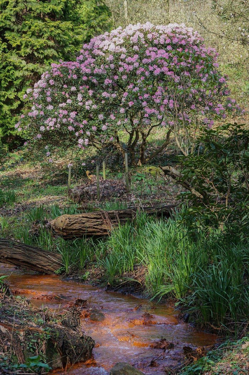 北京北寨杏花谷在哪里