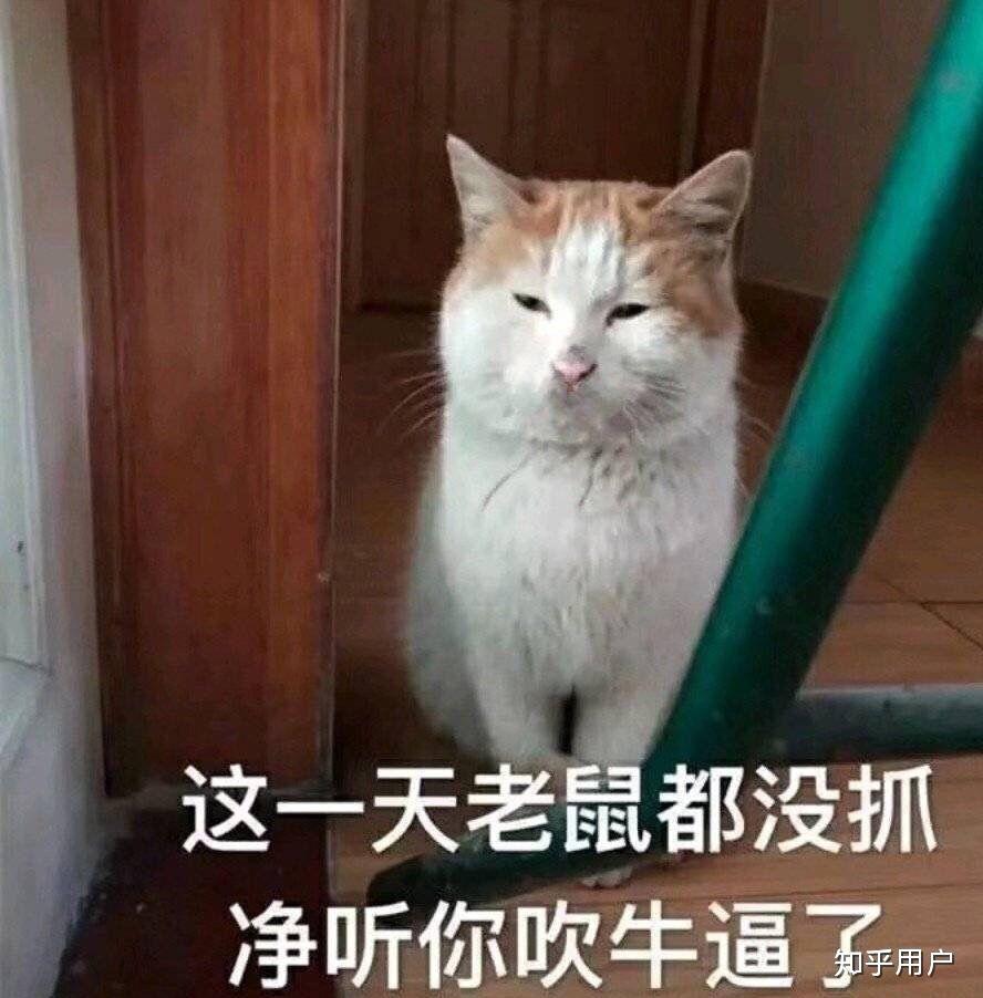 知乎