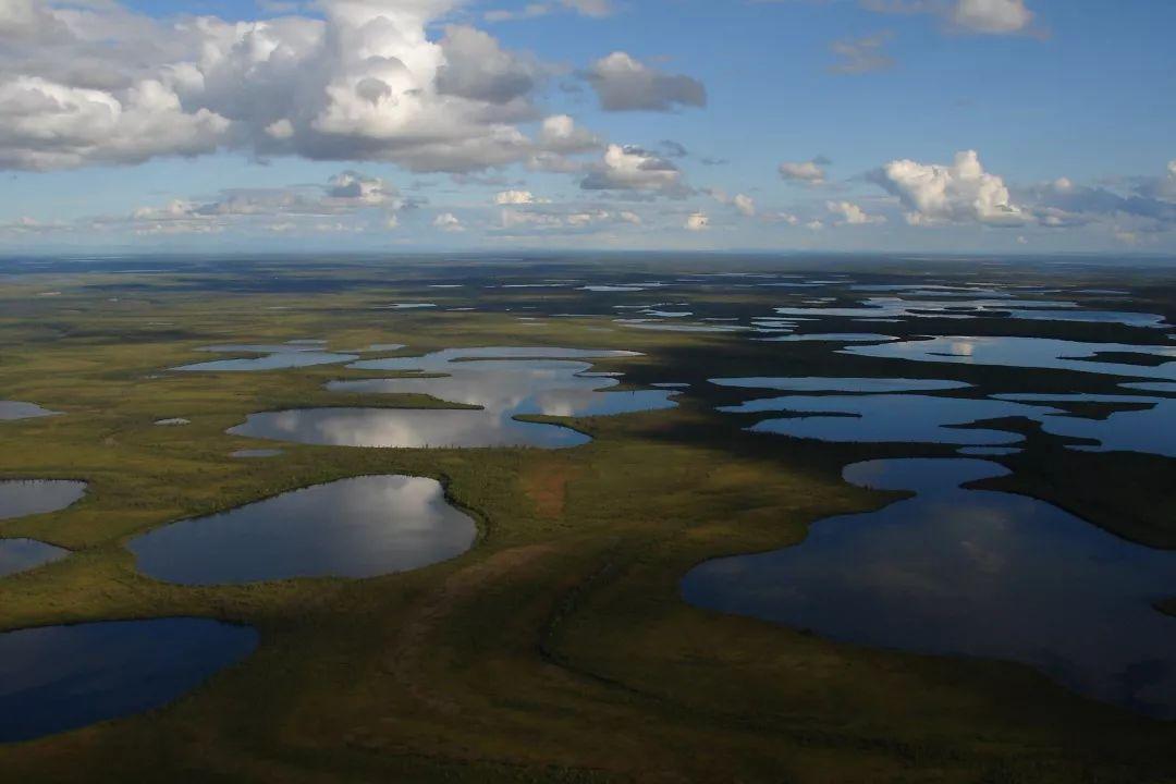 vuntut national park乌恩图特国家公园12瓦布斯克国家公园wapusk