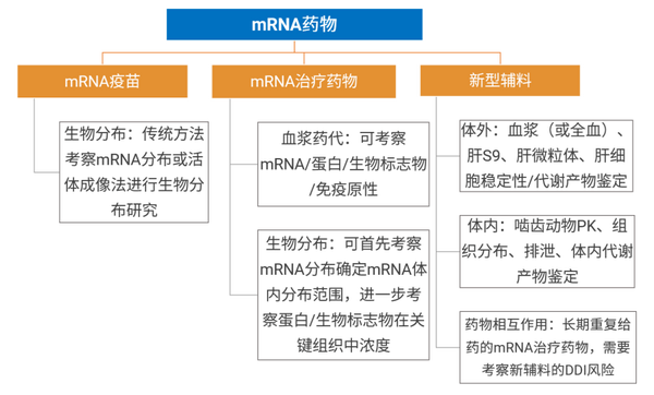 mRNA药物临床前药代动力学评估策略 - 知乎